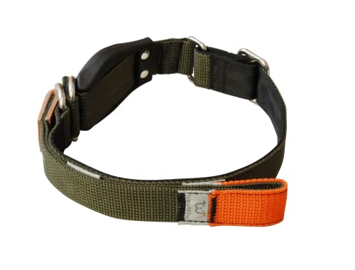 WowWow Professional Hundehalsband mit Leine - Khaki - Größe M 37-46 cm, 195g leicht, innovatives Halsband mit integrierter Leine - bekannt aus der Höhle der Löwen