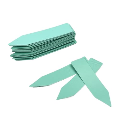 Étiquettes pour plantes multicolores pour organiser vos herbes aromatiques