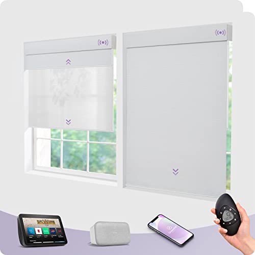 Graywind Motorized Dual Shades Smart Double Blinds Blackout and Light Filtering Blinds in One Set Remote Alexa Google Smart Control Roller Shades, Customized Size (Jacquard White)