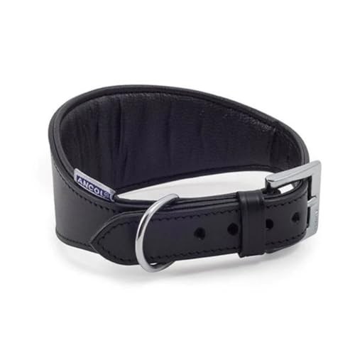 Ancol Windhund Halsband gepolstert Leder, 47 cm, schwarz