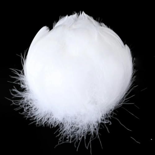 wejiay Plumas de Ganso, Pavo y Avestruz Blancas Naturales, artesanías, joyería DIY, tocados, decoración del hogar, Plumas de Pavo Real y Pollo, 20
