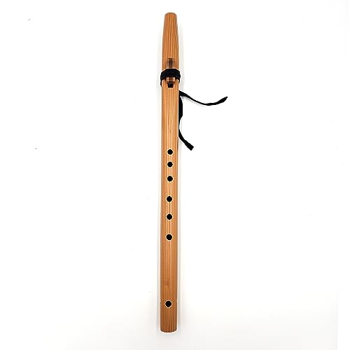 Atrofy B000FS Native American Style F Sharp Flute thumb #3