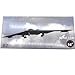 DAGIJIRD Simulation Alloy Aircraft Model 1:200 Alloy USAF B-2 Stealth and Strategic Spirit Bomber Model