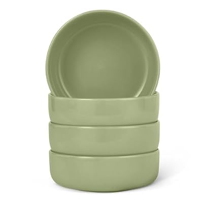 Amazon Basics Glazed Stoneware Bowls, 4-Piece Set, Microwave and Dishwasher-Safe, 20 oz. Capacity, 5.5 in., Olive
