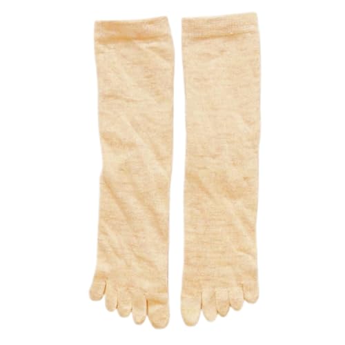 [TOKYOBASIC] ܖ{w\bNX fB[X R L ėp l \bNX 22.0`25.0cm C X|[c oR wl  Ȃ   { t[/ۃN[