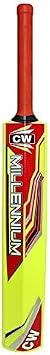 CW Plastic Cricket Bat for Wind Ball Plastic Bat for Tennis Or I10 Ball Lightweight Cricket Bat Beach Cricket Bat Hard Plastic Cricket Bat Men's Full Size Bat Adult Plastic Bat