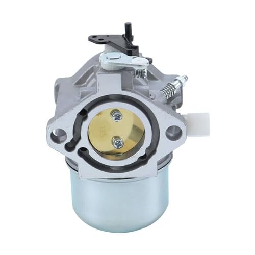 iDMRURvm VERGASER Für Briggs & Stratton 286702 286707 289702 289707