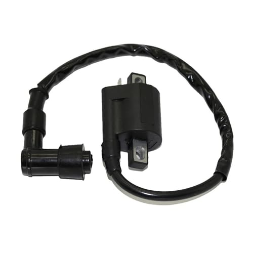 Bobina de encendido para moto Scooter y ATV de 50cc a 250cc