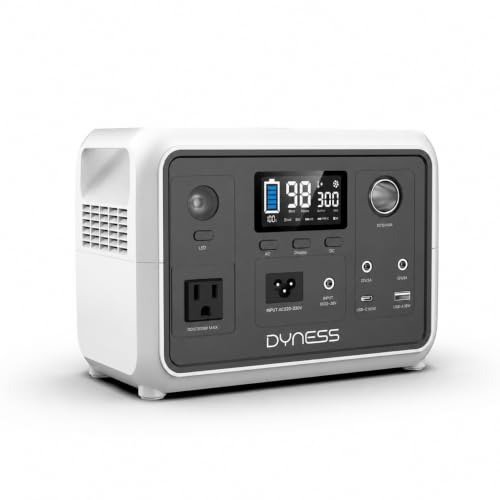 Dyness 300W Tragbares Powerstation