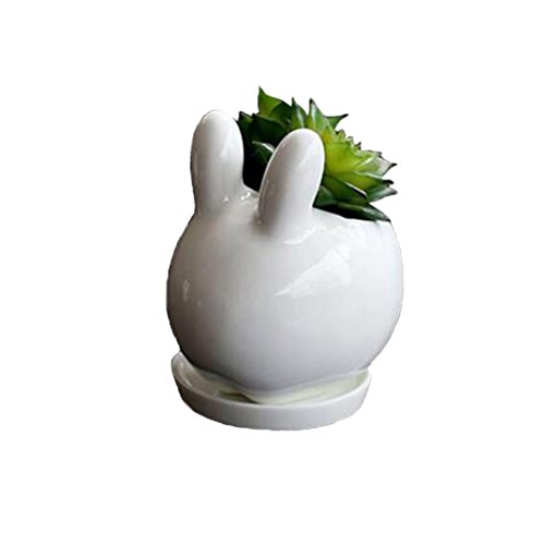 Youfui Rabbit Bunny Ivory White Ceramic Flower Pot Planter For Succulent Cactis Small Simple With Tray #TOP4