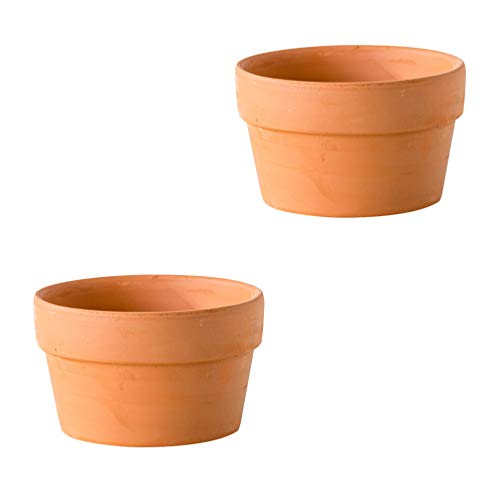BESTonZON Ceramic Planter 2Pcs Shallow Terracotta Plant Pots Ceramic Clay Container with Drain Hole Small unglazed Planter for Indoorï¼ Outdoor Plants, Garden Home Decor
