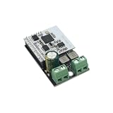 TPA3118D2 Mono Amplifier Board 60W Digital Power Amplifier Board for Bookshelf Car Passive Speakers