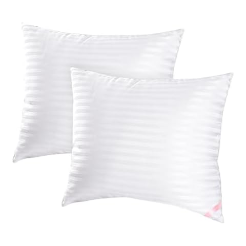 EIUE Premium Stripe Pillow Cores - 20x20 Inch, Dual Fill, Washable, Vacuum Packed 2-Pack Cover