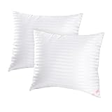 EIUE Throw Pillow Inserts, Machine Washable Pillows,Premium Polyester Fiber Fill for Sofa Bed & Decorative Cushions (White, 20x20inch)