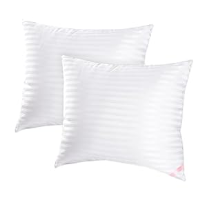 EIUE Throw Pillow Inserts, Machine Washable Pillows,Premium Polyester Fiber Fill for Sofa Bed & Decorative Cushions (White, 20x20inch)