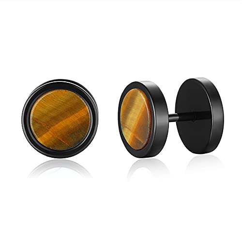 Nature Stone Round Disc Small Stud Earrings For Men Women Boys Cartilage Stainless Steel Wide Flat 16G Screw Back Stud Personalized Barbell Piercing Stud Jewelry Gifts For Borfriend Son Birthday Christmas New Year (Tiger Eye) #TOP5