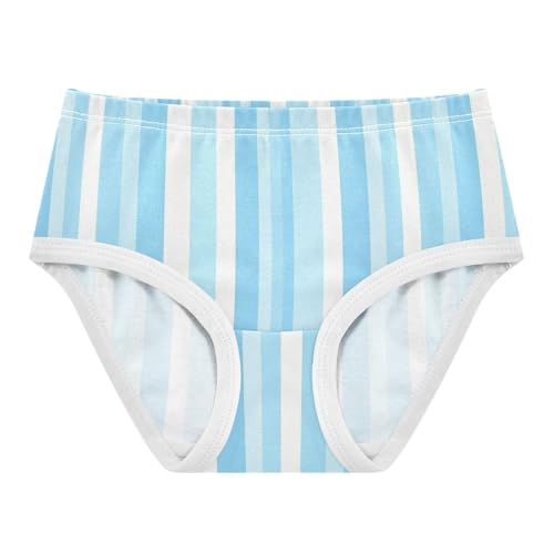 Blue White Stripe Toddler Girls's Underwear 2T 2300911