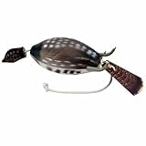 Dokken Dead Fowl Ruffed Grouse Hunting Dog Retriever Trainer by Dokken