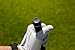 Garmin Approach® CT1 Golf Club Tracking Tags, Pairs to Your Garmin Golf Smartwatch, Track Shots On Any Club, Battery-Free Design