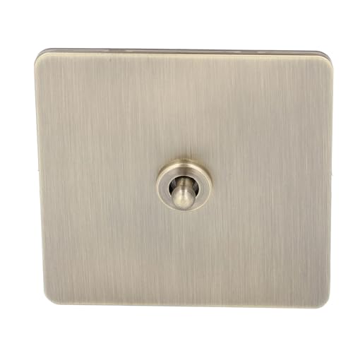 Aumotop Interruptor de Palanca de Acero Inoxidable Bronce Antiguo AC250V para Decoración del Hogar, Interruptor Alimentación Unipolar 1 Unidad y 2 Vías, para Diversos Ambientes Interiores