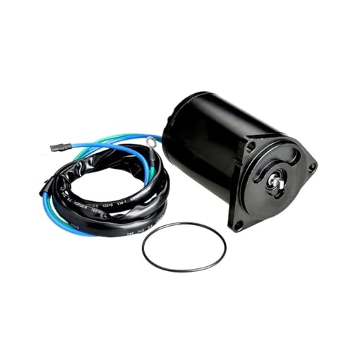 Moteur de trim inclinable sorties en mer réussies bateau hors-bord F200-F250