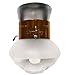Humphrey 9RW Propane Gas Light, Rustic Walnut Pre-formed Mantle