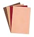 Creativity Street WonderFoam Sheets, 12-inches x 18-inches, Multi-Cultural Colors, 10 Sheets (AC4315)