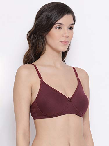 Image of Lyra Women's Cotton Non Padded Wire Free T Shirt Bra
