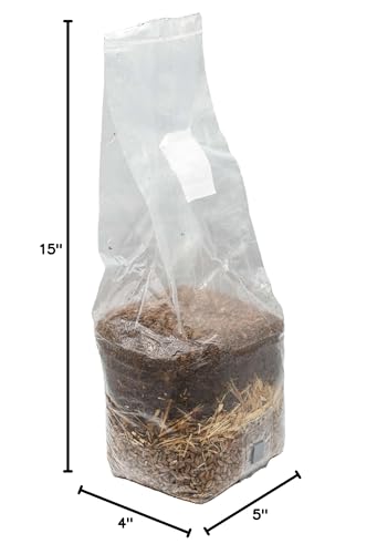 Wood-Based All-in-One Mushroom Grow Bag