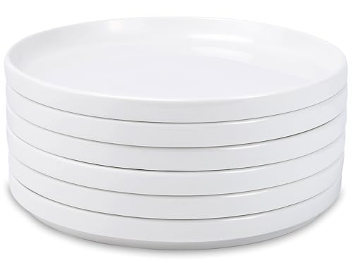 Tivcck 10 inch White Dinner Plates Set of 6, Ceramic Dinner Plates, Round Dessert Salad Plate, Porcelain Plate for Kitchen, Restaurant, Microwave, Oven & Dishwasher Safe, Scratch Resistant