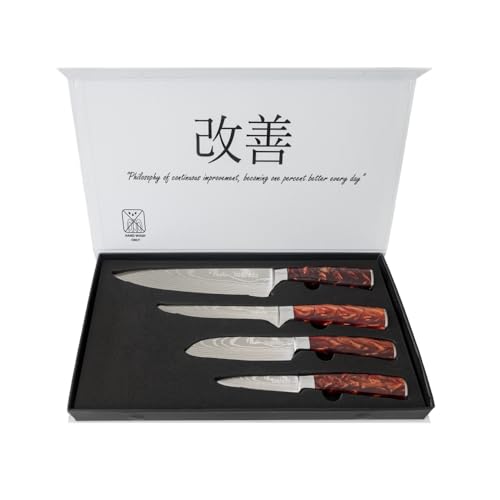 Soshida Modern 4 Piece Chef Knife Set, Premium Stainless Steel Kitchen Knives Set Including a Chef, Utility, Boning, and Paring Knife in a Magnetic Gift Box.