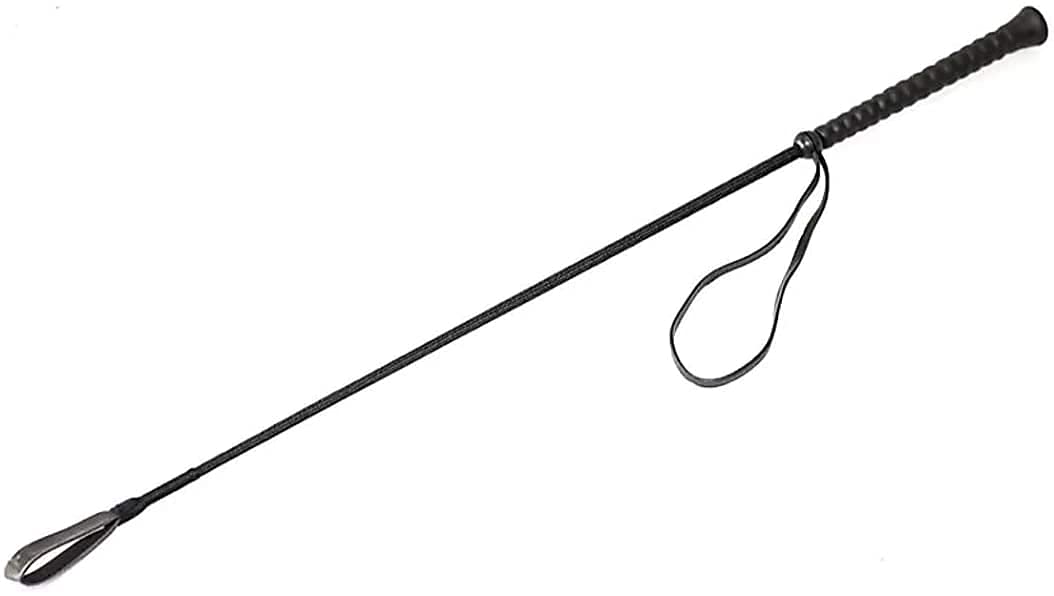 See full amazon price history chart for SR VISION 30Inches Rubber Plastic & Nylon Training Hunter Stick for Dogs - Color May Vary, 1 Piece SR VISION 30Inches Rubber Plastic & Nylon Training Hunter Stick for Dogs - Color May Vary, 1 Piece (B09SY3MSK3) Amazon Price History, Amazon Price Tracker
