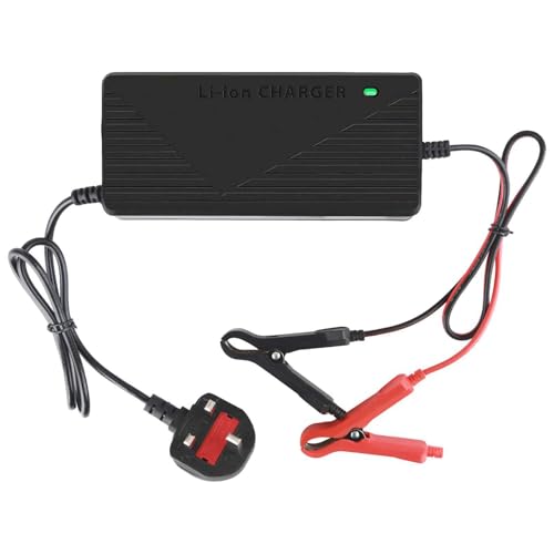 14.6V 10A Lithium Iron Phosphate Batteries Charger High Efficiency LED Indicator with Overheat Protection Optimized for LiFePO4 Battery