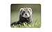 Produktbild Mousepad Maus Matte Maus Pads niedliche Frettchen Maus Matte Pad - Iltis Mustela Kinder Spaß Geschenk Computer