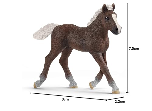 SCHLEICH 13899 Schwarzwälder Fohlen, für Kinder ab 3+ Jahren, Farm World - Spielfigur