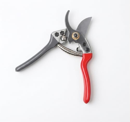Tijeras de podar YJLDDZ 7.1 pulgadas para jardín miniatura 1