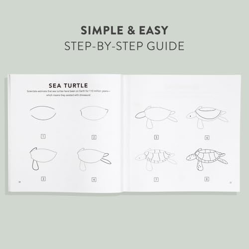Under the Sea: How to Draw Books for Kids with Dolphins, Mermaids, and Ocean Animals (How to Draw For Kids Series) - Image 2