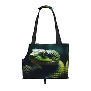 Wbqlsl Reptilien Transportbox Viper Design