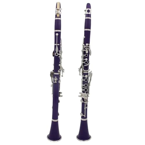 Clarinette Bb pour débutant idéale pour pratiquer la musique à la maison et en cours