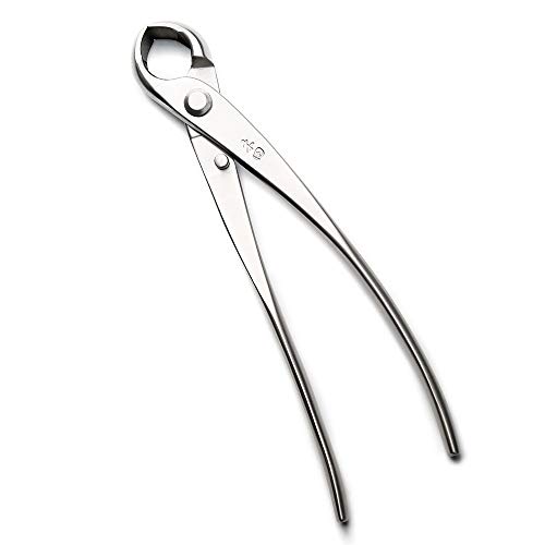 Tianbonsai GDWERG-602 Professional Grade 6 Pcs Bonsai Tool Set (Kit) Mtbt-04 thumb #4
