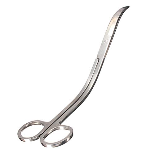 iwobi Forbici per Piante Acquario,Forbici per Acquario Lunghe in Acciaio Inossidabile per Piante Lama Curva,24 cm - Image 4