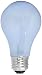 GE Lighting 67773 Energy-Efficient Reveal 53-Watt (75-Watt Replacement), 790-Lumen A19 Light Bulb with Medium Base, 4-Pack