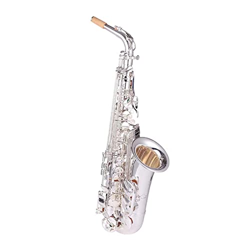 TSTS E-Flat Alto Saxophone ͏S҂lvĈɓKĂ܂ ^JTbNX tLbg(J[: 10)