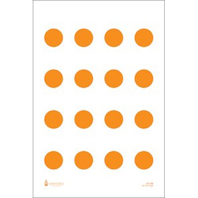 US Coast Guard 100-Yard target 100 pack