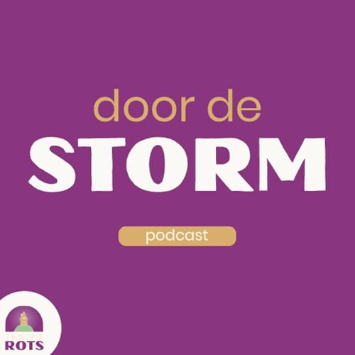 Door de storm cover art