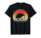 Vintage Retro Sunset Hedgehog T-Shirt