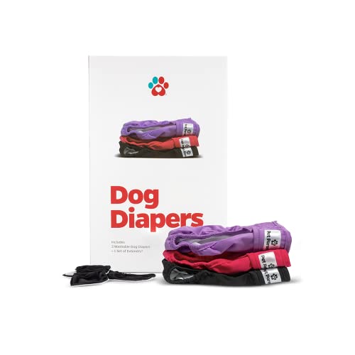 Pet Parents® Washable Dog Diapers (3Pack) Of Doggie Diapers, Color: Princess, Medium Dog Diapers #TOP7