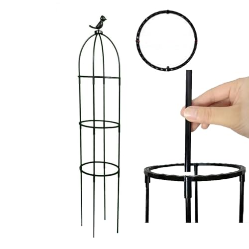 Traliccio da Giardino in Fibra di Vetro Obelisco 22x95cm 22x120cm 22x145cm Torre per Piante a Forma di Gabbia per Uccelli Supporto Robusto per Piante rampicanti e Fiori (Colore: Nero, Dimens