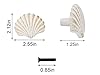 DDRAUY 2 Pack Seashell Knobs Ocean Cabinet Pull Knobs Beach Ocean Cabinet Drawer Cupboard Pull for Dresser Cupboard Wardrobe Cabinet Kitchen (White) #4
