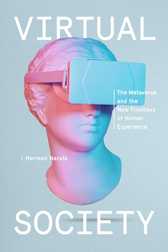 Virtual Society view 2